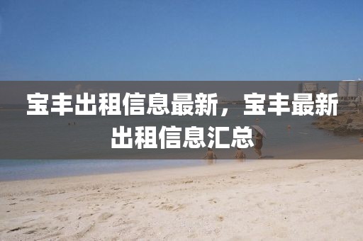 寶豐出租信息最新，寶豐最新出租信息匯總