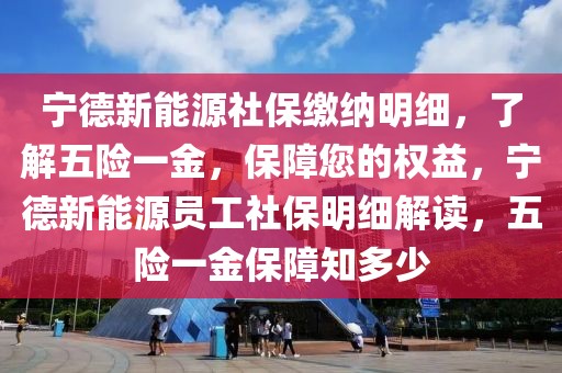 寧德新能源社保繳納明細(xì)，了解五險(xiǎn)一金，保障您的權(quán)益，寧德新能源員工社保明細(xì)解讀，五險(xiǎn)一金保障知多少