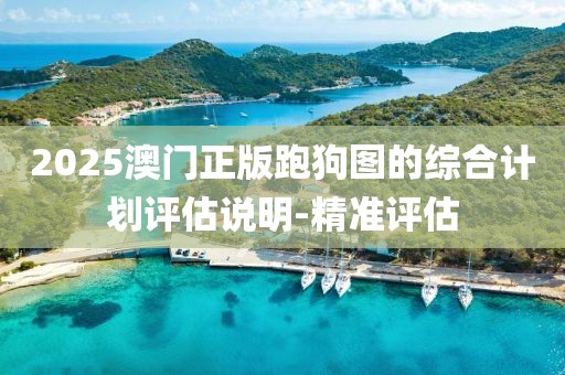 2025澳門正版跑狗圖的綜合計劃評估說明-精準(zhǔn)評估