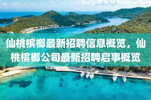 仙桃檳榔最新招聘信息概覽，仙桃檳榔公司最新招聘啟事概覽
