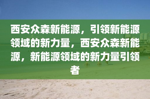 西安眾森新能源，引領(lǐng)新能源領(lǐng)域的新力量，西安眾森新能源，新能源領(lǐng)域的新力量引領(lǐng)者