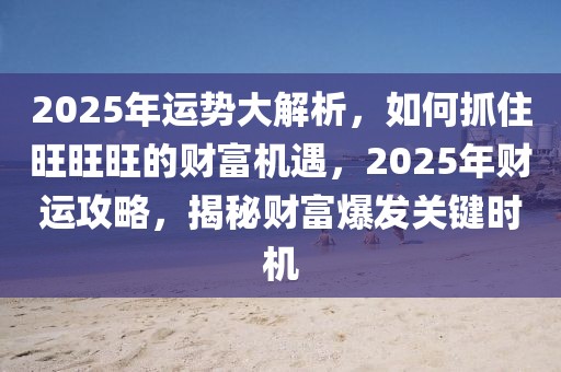 2025年運(yùn)勢(shì)大解析，如何抓住旺旺旺的財(cái)富機(jī)遇，2025年財(cái)運(yùn)攻略，揭秘財(cái)富爆發(fā)關(guān)鍵時(shí)機(jī)