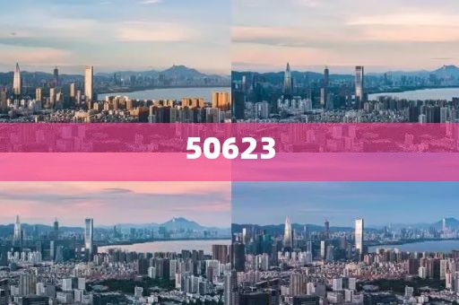 2025精準正版資料大全的高效方法評估-及時解讀