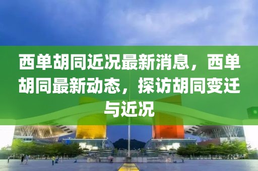 西單胡同近況最新消息，西單胡同最新動(dòng)態(tài)，探訪胡同變遷與近況
