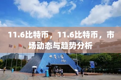 11.6比特幣，11.6比特幣，市場動態(tài)與趨勢分析