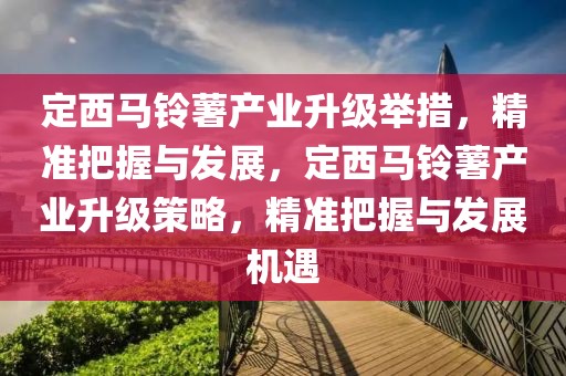定西馬鈴薯產業(yè)升級舉措，精準把握與發(fā)展，定西馬鈴薯產業(yè)升級策略，精準把握與發(fā)展機遇