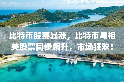 比特幣股票暴漲，比特幣與相關(guān)股票同步飆升，市場狂歡！