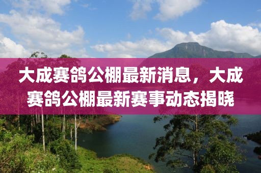 大成賽鴿公棚最新消息，大成賽鴿公棚最新賽事動態(tài)揭曉
