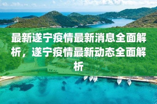 最新遂寧疫情最新消息全面解析，遂寧疫情最新動態(tài)全面解析