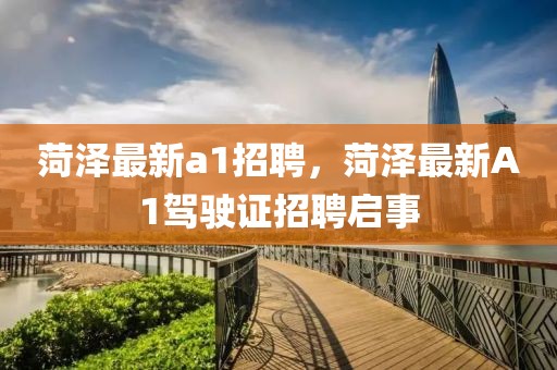 菏澤最新a1招聘，菏澤最新A1駕駛證招聘啟事