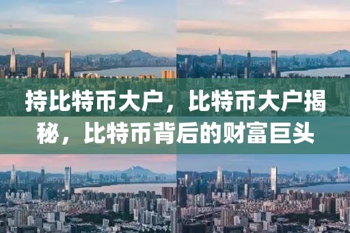 持比特幣大戶，比特幣大戶揭秘，比特幣背后的財富巨頭