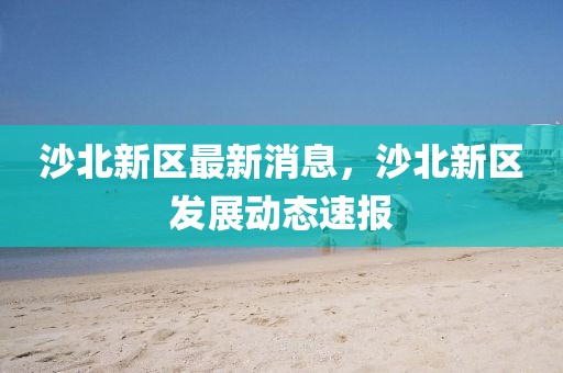 沙北新區(qū)最新消息，沙北新區(qū)發(fā)展動(dòng)態(tài)速報(bào)