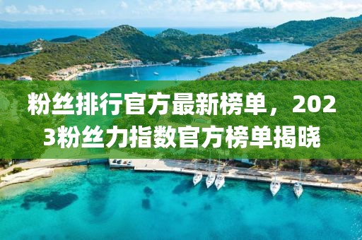 粉絲排行官方最新榜單，2023粉絲力指數(shù)官方榜單揭曉
