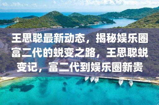 王思聰最新動態(tài)，揭秘娛樂圈富二代的蛻變之路，王思聰蛻變記，富二代到娛樂圈新貴