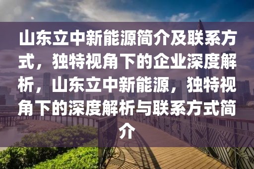 山東立中新能源簡介及聯(lián)系方式，獨特視角下的企業(yè)深度解析，山東立中新能源，獨特視角下的深度解析與聯(lián)系方式簡介