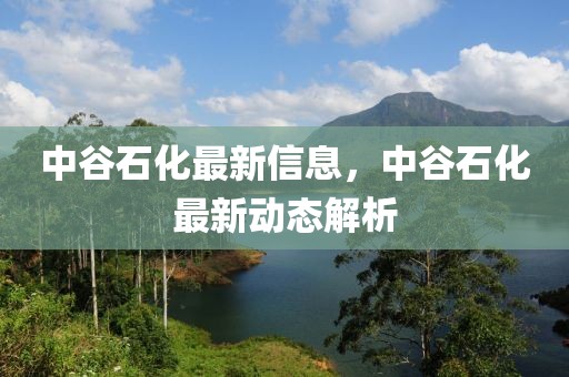 中谷石化最新信息，中谷石化最新動態(tài)解析