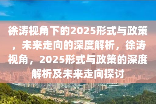 徐濤視角下的2025形式與政策，未來走向的深度解析，徐濤視角，2025形式與政策的深度解析及未來走向探討
