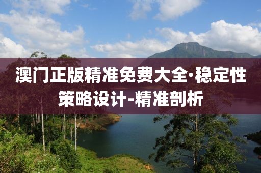 澳門正版精準免費大全·穩(wěn)定性策略設計-精準剖析