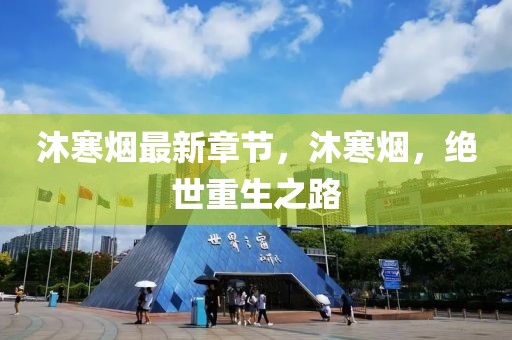 沐寒煙最新章節(jié)，沐寒煙，絕世重生之路