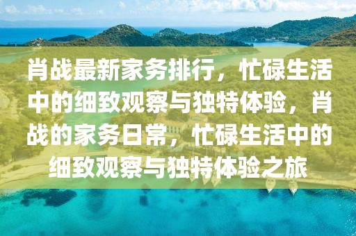 肖戰(zhàn)最新家務(wù)排行，忙碌生活中的細(xì)致觀察與獨(dú)特體驗(yàn)，肖戰(zhàn)的家務(wù)日常，忙碌生活中的細(xì)致觀察與獨(dú)特體驗(yàn)之旅