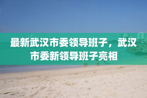 最新武漢市委領(lǐng)導(dǎo)班子，武漢市委新領(lǐng)導(dǎo)班子亮相