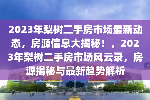 2023年梨樹二手房市場最新動態(tài)，房源信息大揭秘！，2023年梨樹二手房市場風云錄，房源揭秘與最新趨勢解析