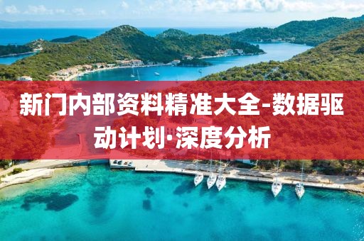 新門(mén)內(nèi)部資料精準(zhǔn)大全-數(shù)據(jù)驅(qū)動(dòng)計(jì)劃·深度分析