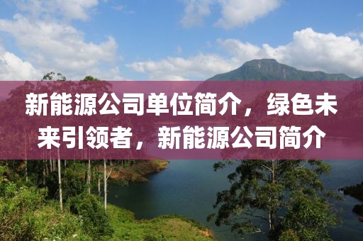 新能源公司單位簡介，綠色未來引領(lǐng)者，新能源公司簡介