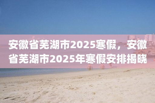安徽省蕪湖市2025寒假，安徽省蕪湖市2025年寒假安排揭曉