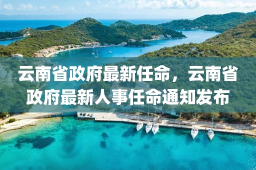 云南省政府最新任命，云南省政府最新人事任命通知發(fā)布