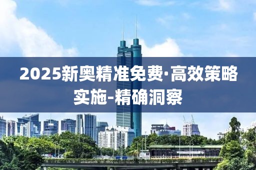 2025新奧精準免費·高效策略實施-精確洞察