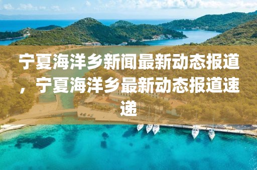 寧夏海洋鄉(xiāng)新聞最新動態(tài)報道，寧夏海洋鄉(xiāng)最新動態(tài)報道速遞
