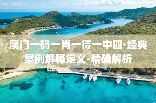 澳門一碼一肖一待一中四·經(jīng)典案例解釋定義-精確解析