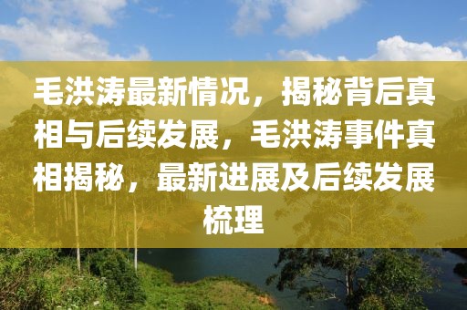 毛洪濤最新情況，揭秘背后真相與后續(xù)發(fā)展，毛洪濤事件真相揭秘，最新進(jìn)展及后續(xù)發(fā)展梳理
