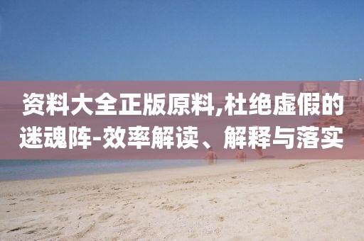 資料大全正版原料,杜絕虛假的迷魂陣-效率解讀、解釋與落實