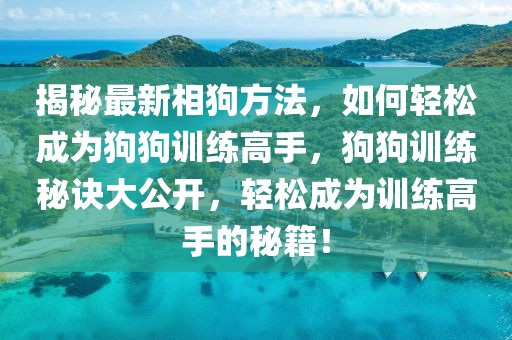 揭秘最新相狗方法，如何輕松成為狗狗訓(xùn)練高手，狗狗訓(xùn)練秘訣大公開，輕松成為訓(xùn)練高手的秘籍！