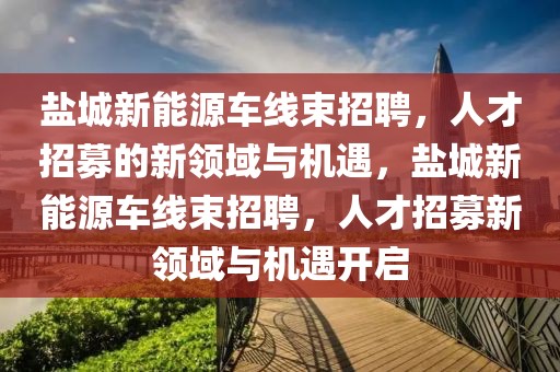 鹽城新能源車線束招聘，人才招募的新領(lǐng)域與機(jī)遇，鹽城新能源車線束招聘，人才招募新領(lǐng)域與機(jī)遇開啟