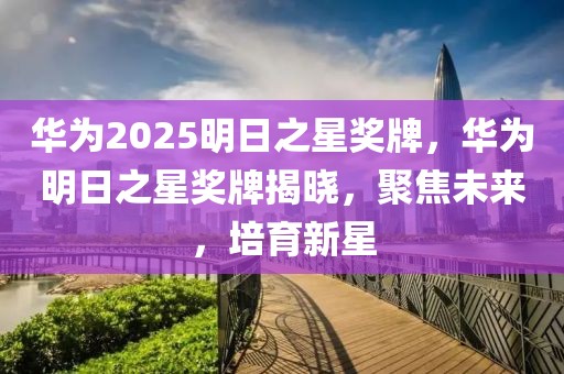 華為2025明日之星獎(jiǎng)牌，華為明日之星獎(jiǎng)牌揭曉，聚焦未來(lái)，培育新星