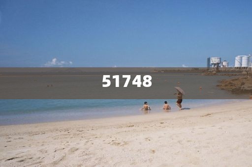2025新澳門和香港精準(zhǔn)免費(fèi)大全2025和防范欺詐的假宣傳畫,全面釋義、解釋與落實(shí)