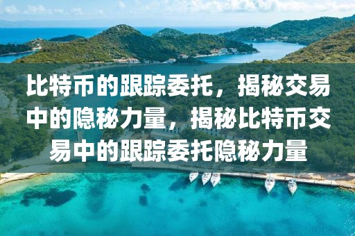 比特幣的跟蹤委托，揭秘交易中的隱秘力量，揭秘比特幣交易中的跟蹤委托隱秘力量