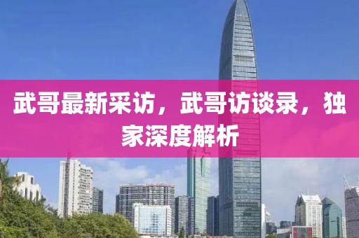 武哥最新采訪，武哥訪談錄，獨(dú)家深度解析