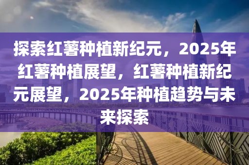 探索紅薯種植新紀元，2025年紅薯種植展望，紅薯種植新紀元展望，2025年種植趨勢與未來探索