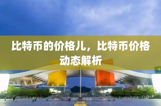 比特幣的價格兒，比特幣價格動態(tài)解析