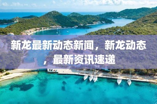 新龍最新動態(tài)新聞，新龍動態(tài)，最新資訊速遞
