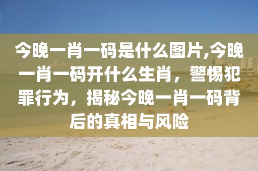 今晚一肖一碼是什么圖片,今晚一肖一碼開什么生肖，警惕犯罪行為，揭秘今晚一肖一碼背后的真相與風險