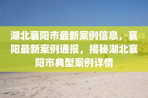 湖北襄陽市最新案例信息，襄陽最新案例通報，揭秘湖北襄陽市典型案例詳情