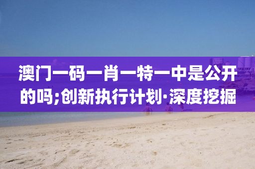 澳門一碼一肖一特一中是公開(kāi)的嗎;創(chuàng)新執(zhí)行計(jì)劃·深度挖掘