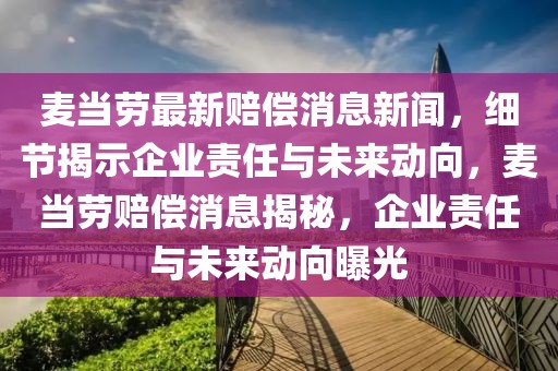 麥當勞最新賠償消息新聞，細節(jié)揭示企業(yè)責任與未來動向，麥當勞賠償消息揭秘，企業(yè)責任與未來動向曝光