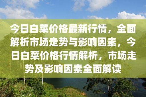 今日白菜價格最新行情，全面解析市場走勢與影響因素，今日白菜價格行情解析，市場走勢及影響因素全面解讀