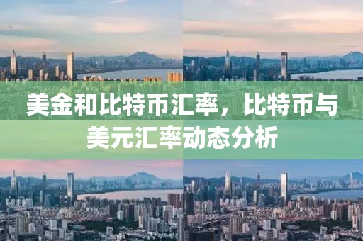 美金和比特幣匯率，比特幣與美元匯率動態(tài)分析